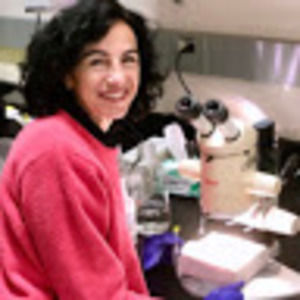 Meet your Posher, Concepcion